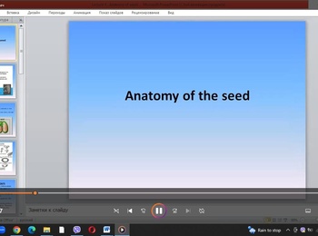 Лекція на англіській мові "Anatomy of seeds"