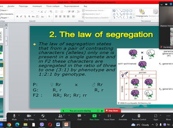 Лекція на тему: Organism’s level of realization of hereditary information. Interaction of genes.Chromosomal theory of heredity. Variation in human beings as a quality.