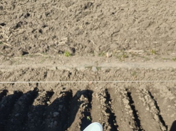 Весняні польові роботи