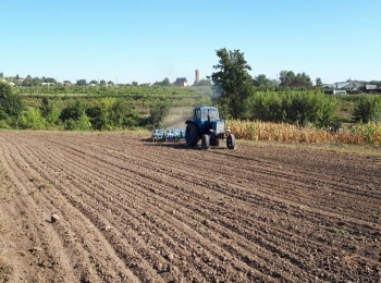Підготовка до посіву озимих зернових культур 