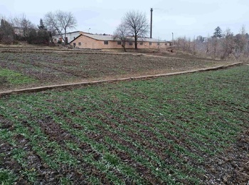 ОЦІНКА ПЕРЕЗИМІВЛІ ОЗИМИХ ЗЕРНОВИХ КУЛЬТУР  В СЕЛЕКЦІЙНОМУ РОЗСАДНИКУ КАФЕДРИ ГЕНЕТИКИ, СЕЛЕКЦІЇ РОСЛИН ТА БІОТЕХНОЛОГІЇ