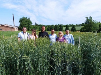 АСПІРАНТИ КАФЕДРИ ГЕНЕТИКИ, СЕЛЕКЦІЇ РОСЛИН ТА БІОТЕХНОЛОГІЇ УНУ  ПОЄДНУЮТЬ ПОЛЬОВІ ТА ЛАБОРАТОРНІ ДОСЛІДЖЕННЯ