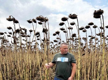 Відвідування Дня поля