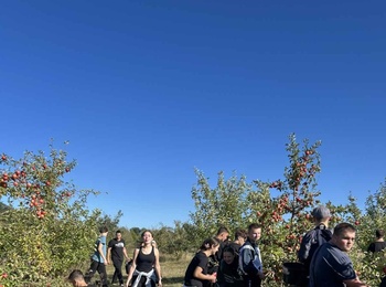 Практика в саду