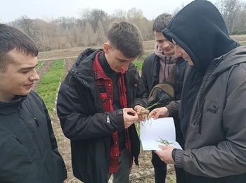 ЛАБОРАТОРНІ ЗАНЯТТЯ НА КАФЕДРІ ГЕНЕТИКИ, СЕЛЕКЦІЇ РОСЛИН ТА БІОТЕХНОЛОГІЇ.