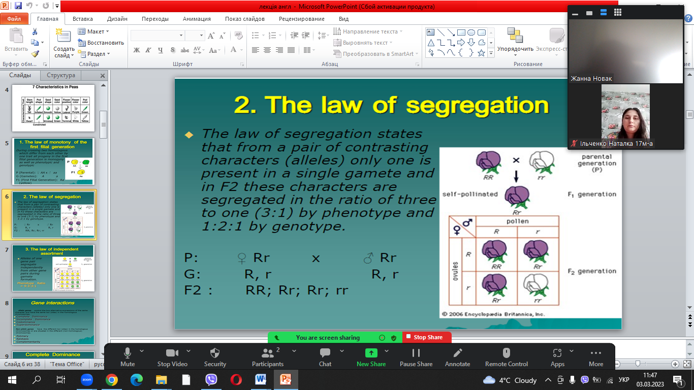 Лекція на тему: Organism’s level of realization of hereditary information. Interaction of genes.Chromosomal theory of heredity. Variation in human beings as a quality.