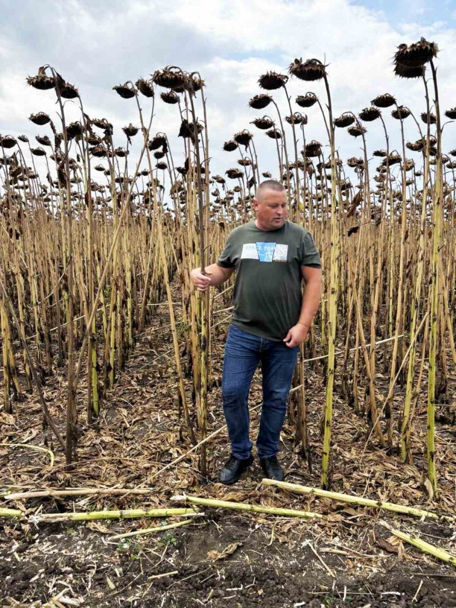 Відвідування Дня поля