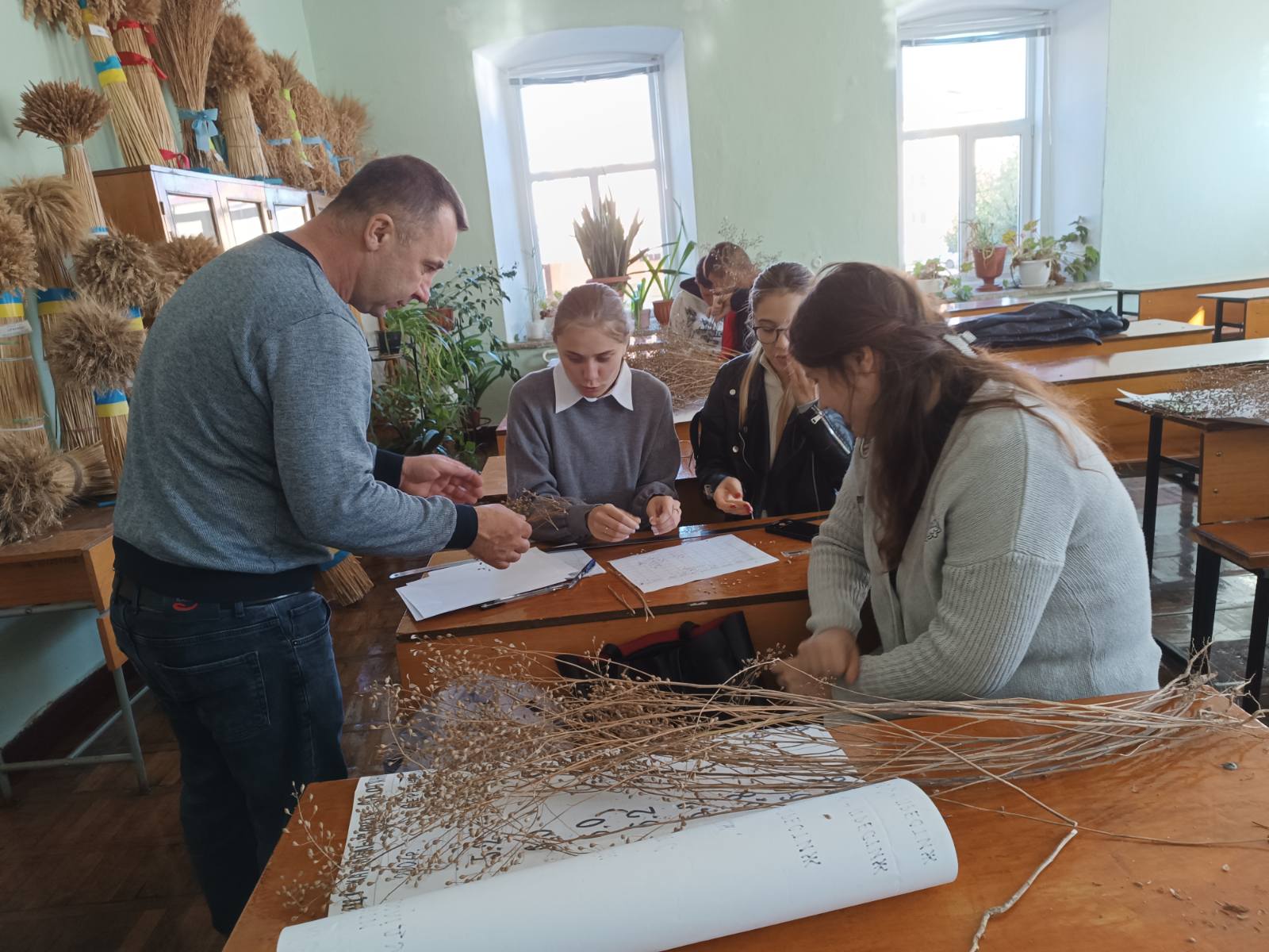 Лабораторне заняття з Селекції сільськогосподарських культур