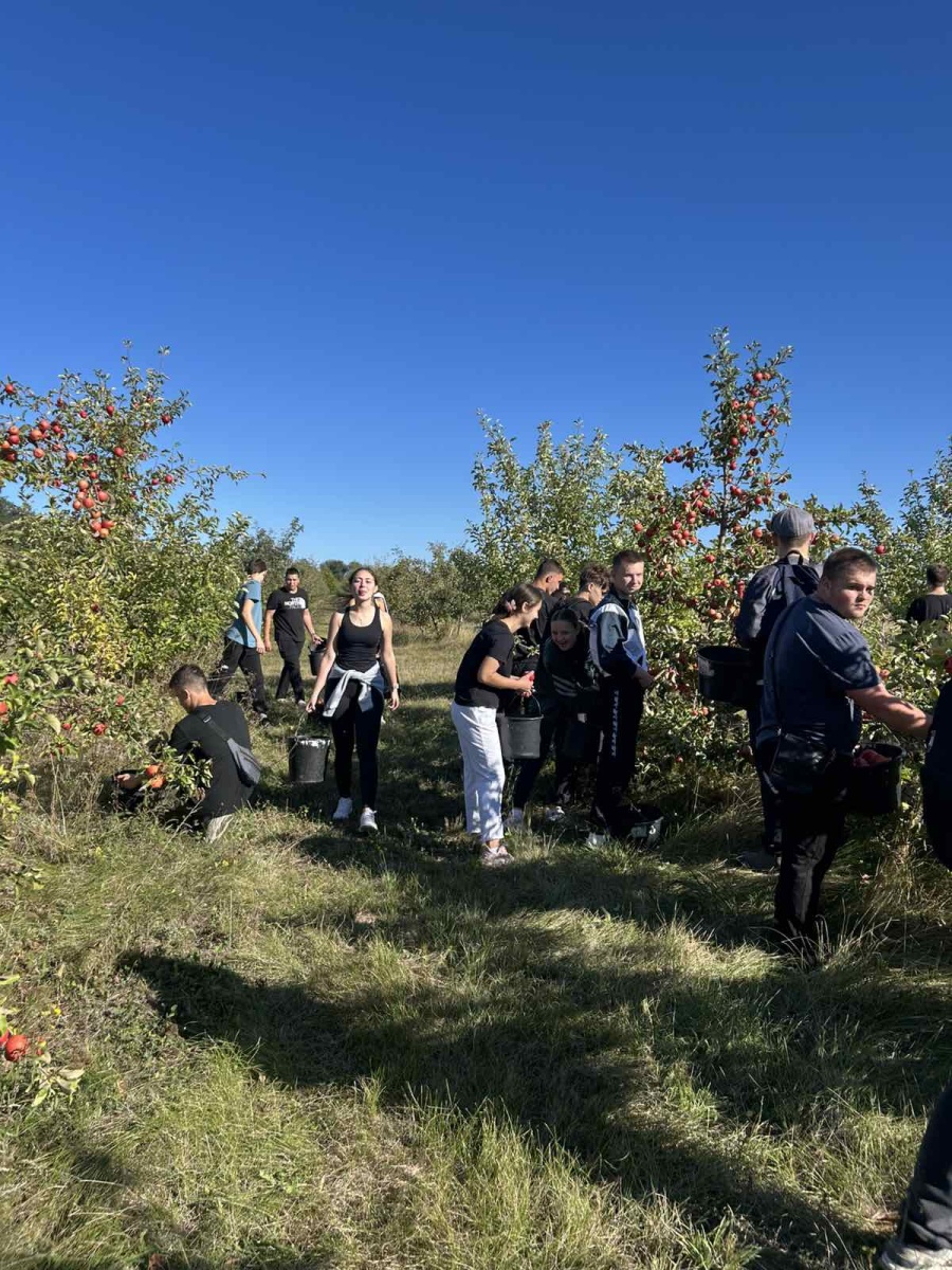 Практика в саду
