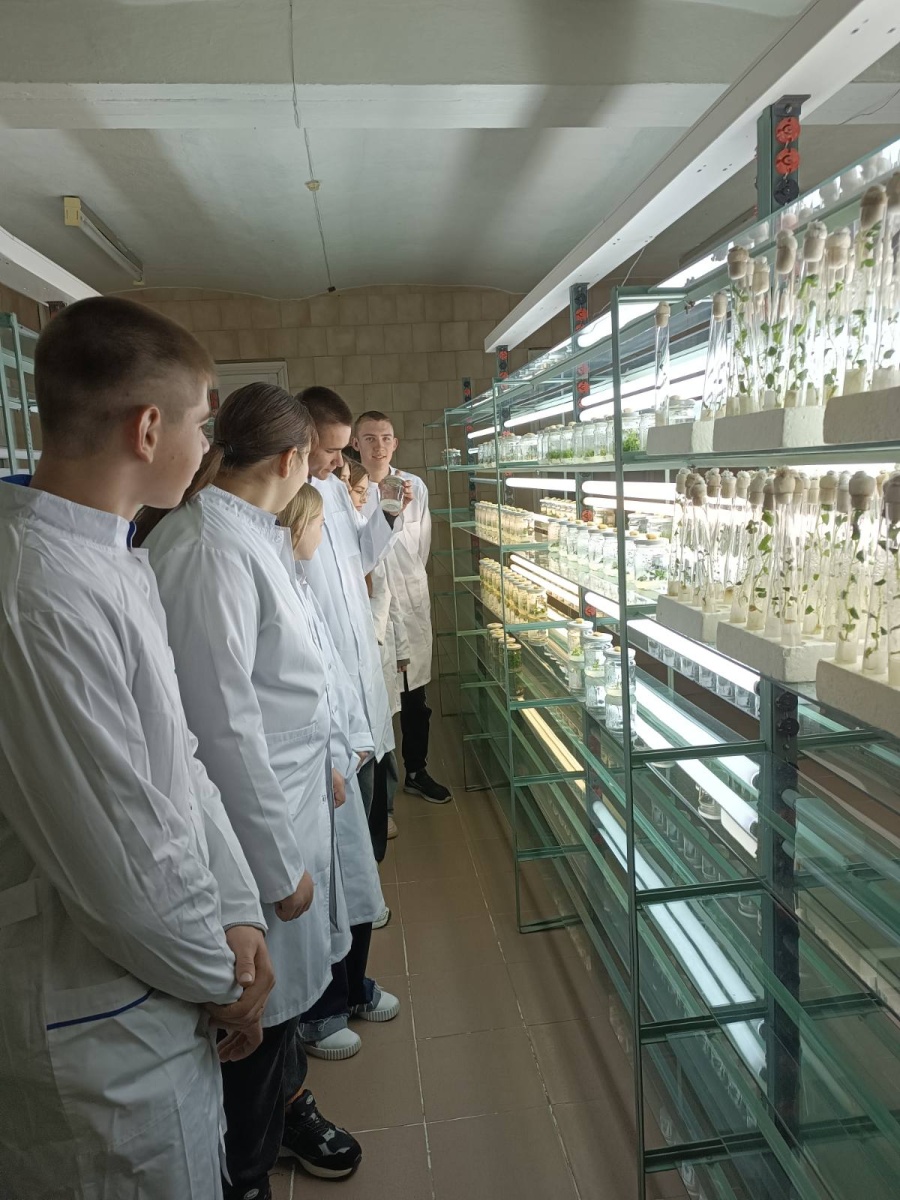 Лабораторне заняття з дисципліни Основи біотехнології рослин